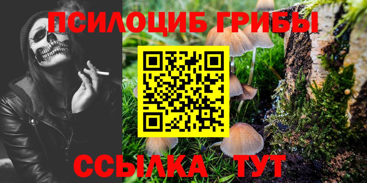 Галлюциногенные грибы Magic Shrooms Кизляр