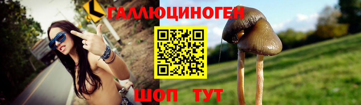 Галлюциногенные грибы Magic Shrooms  Вход с VPN  Кизляр 